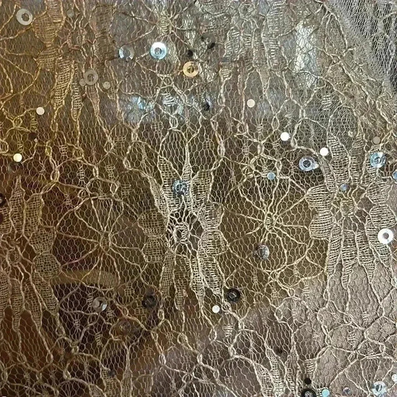 Lanting Brides dress. XL New with tags. - Picture 9 of 13